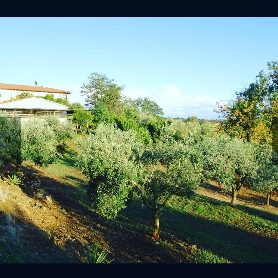 Agriturismo Colleverde Capalbio Dış mekan fotoğraf