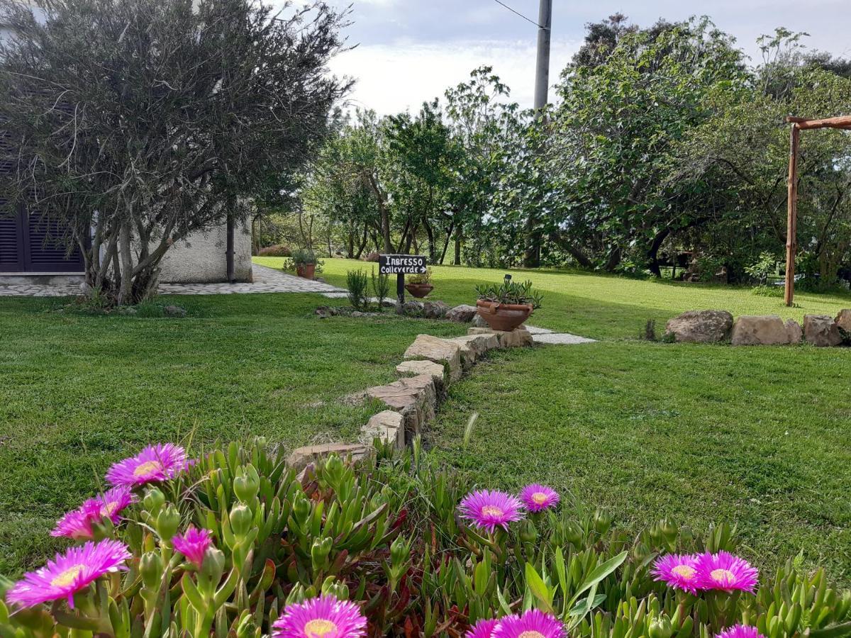 Agriturismo Colleverde Capalbio Dış mekan fotoğraf