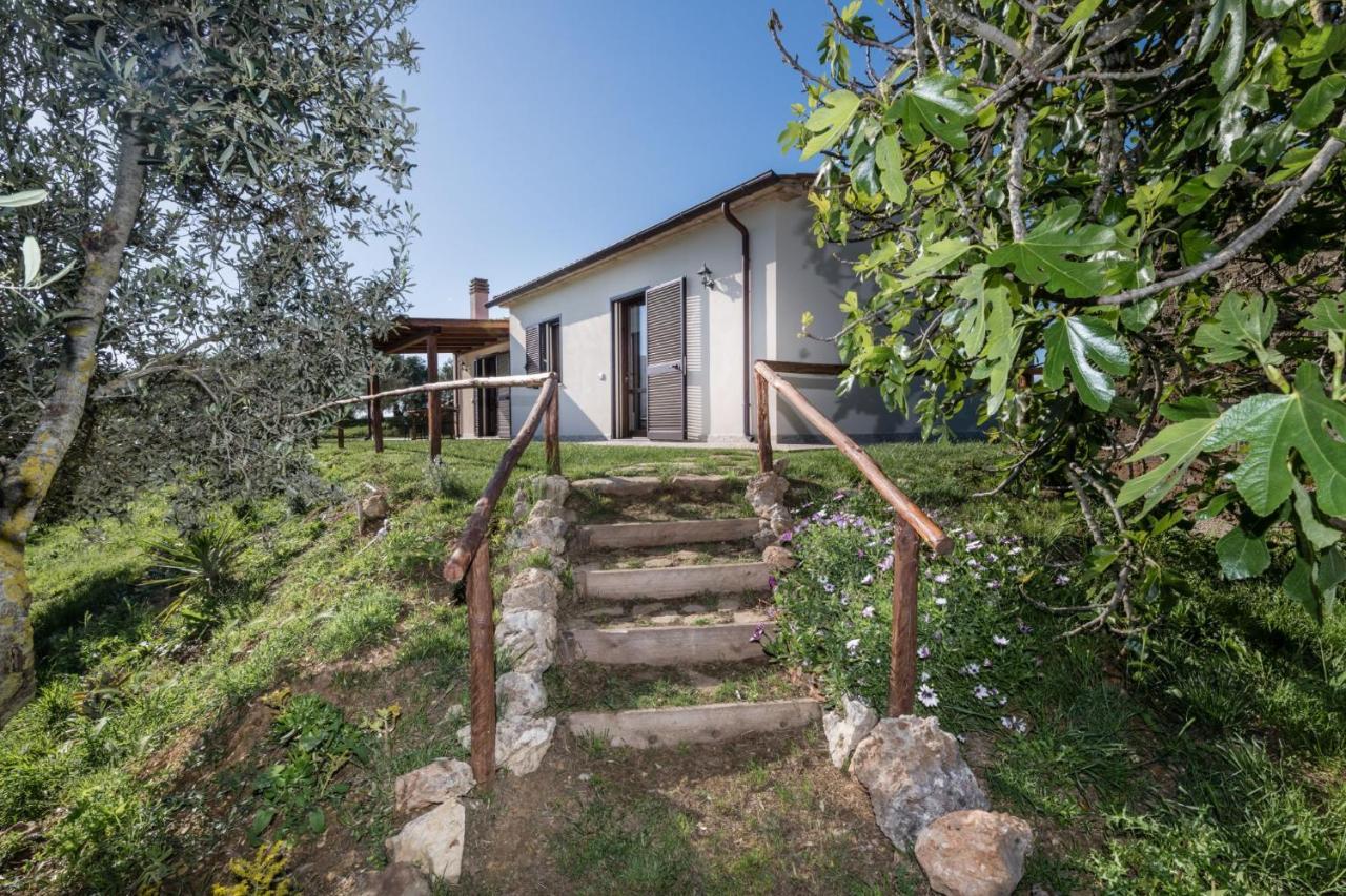 Agriturismo Colleverde Capalbio Dış mekan fotoğraf