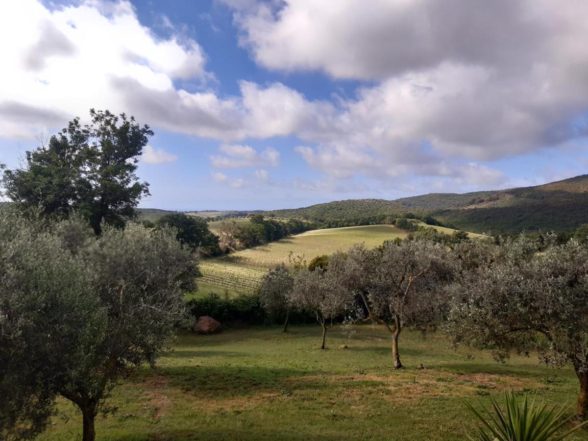 Agriturismo Colleverde Capalbio Dış mekan fotoğraf