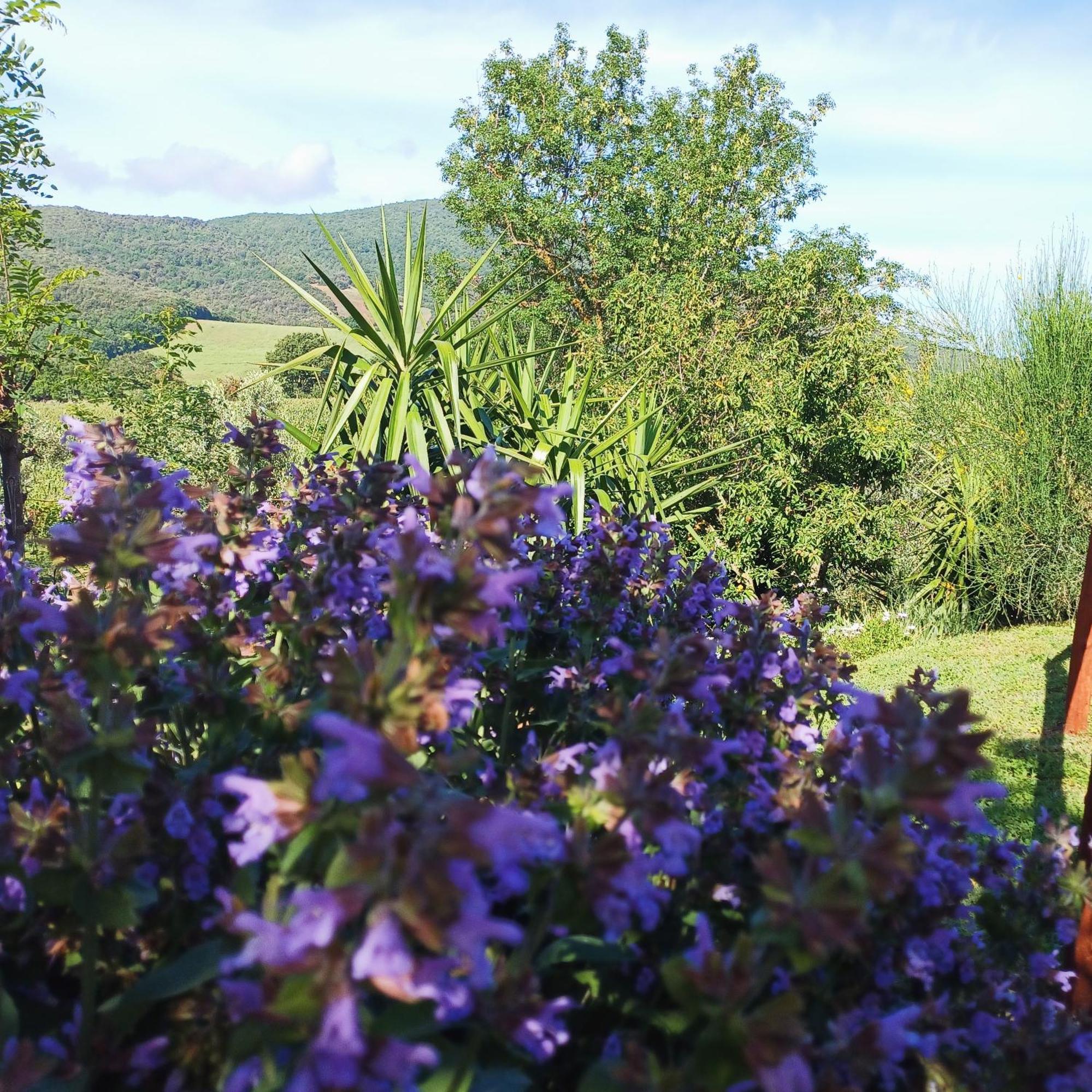 Agriturismo Colleverde Capalbio Dış mekan fotoğraf