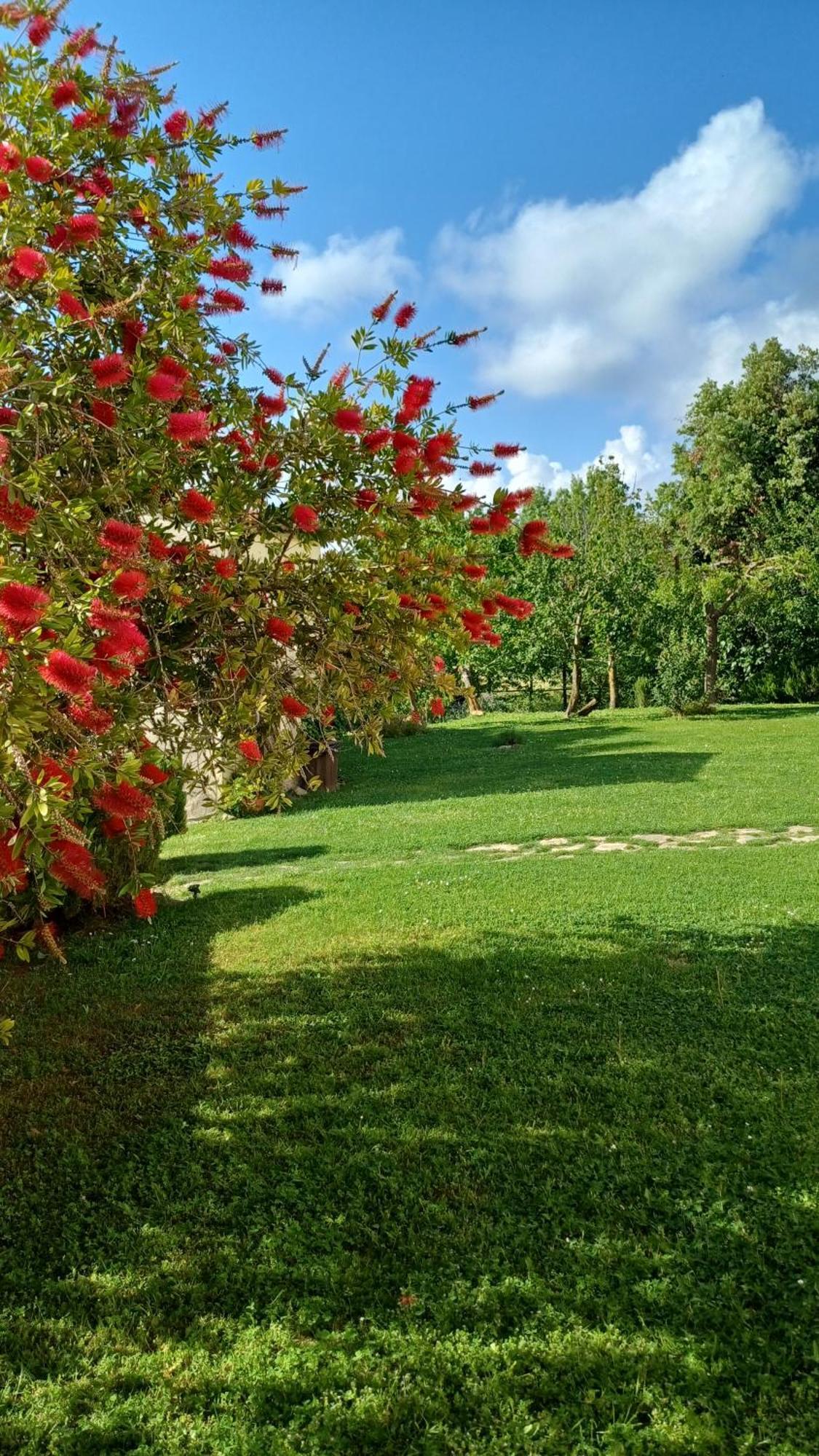 Agriturismo Colleverde Capalbio Dış mekan fotoğraf