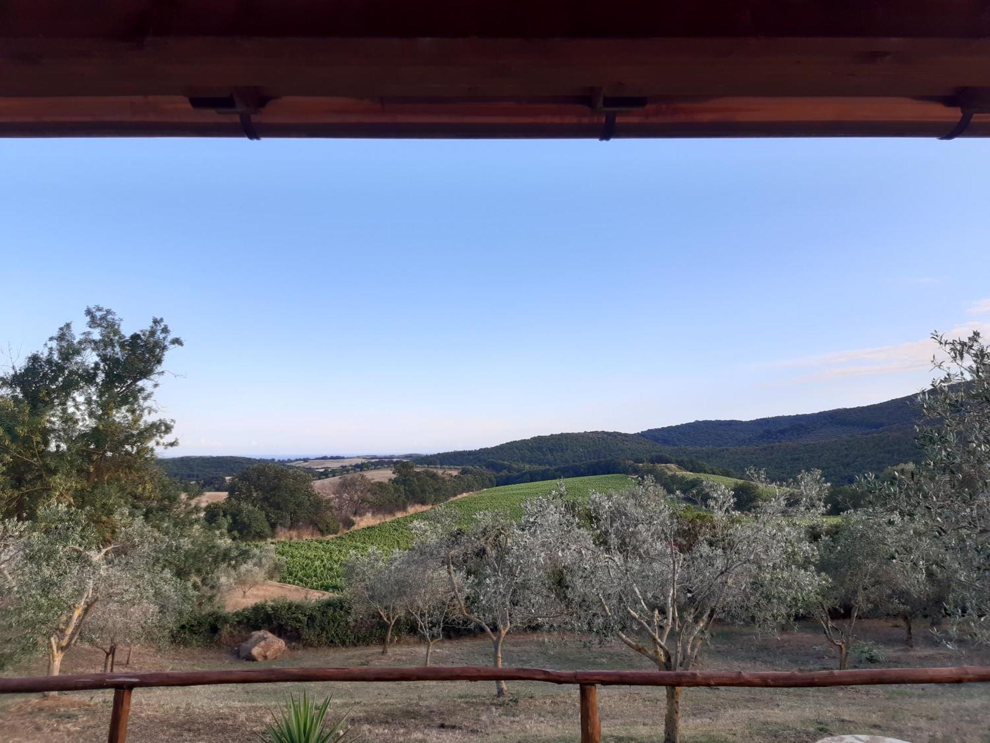 Agriturismo Colleverde Capalbio Oda fotoğraf