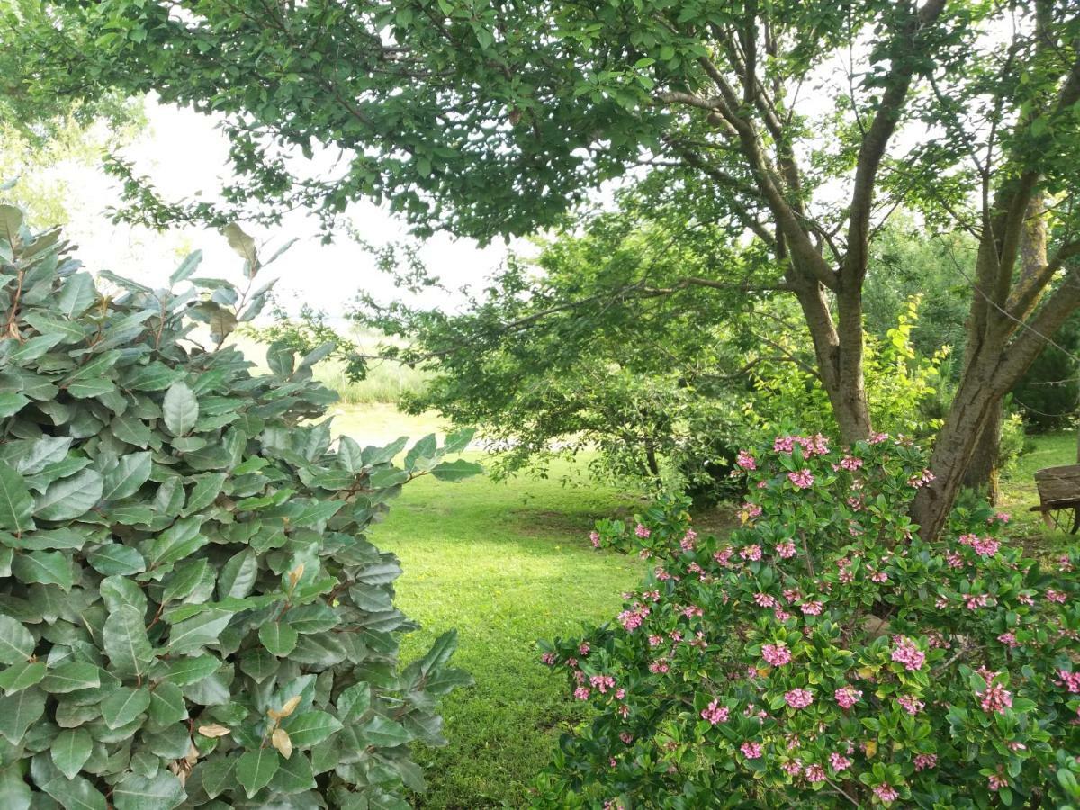 Agriturismo Colleverde Capalbio Dış mekan fotoğraf